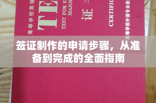 临泉签证制作的申请步骤，从准备到完成的全面指南