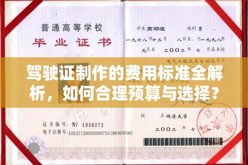 抚远驾驶证制作的费用标准全解析，如何合理预算与选择？