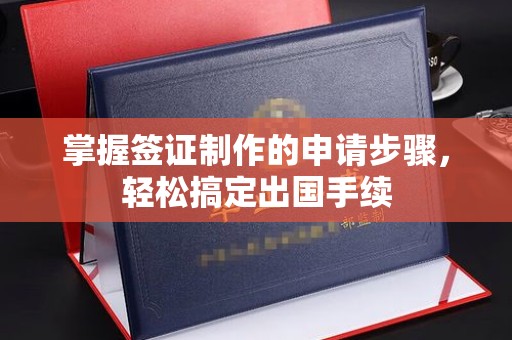 潍城掌握签证制作的申请步骤，轻松搞定出国手续